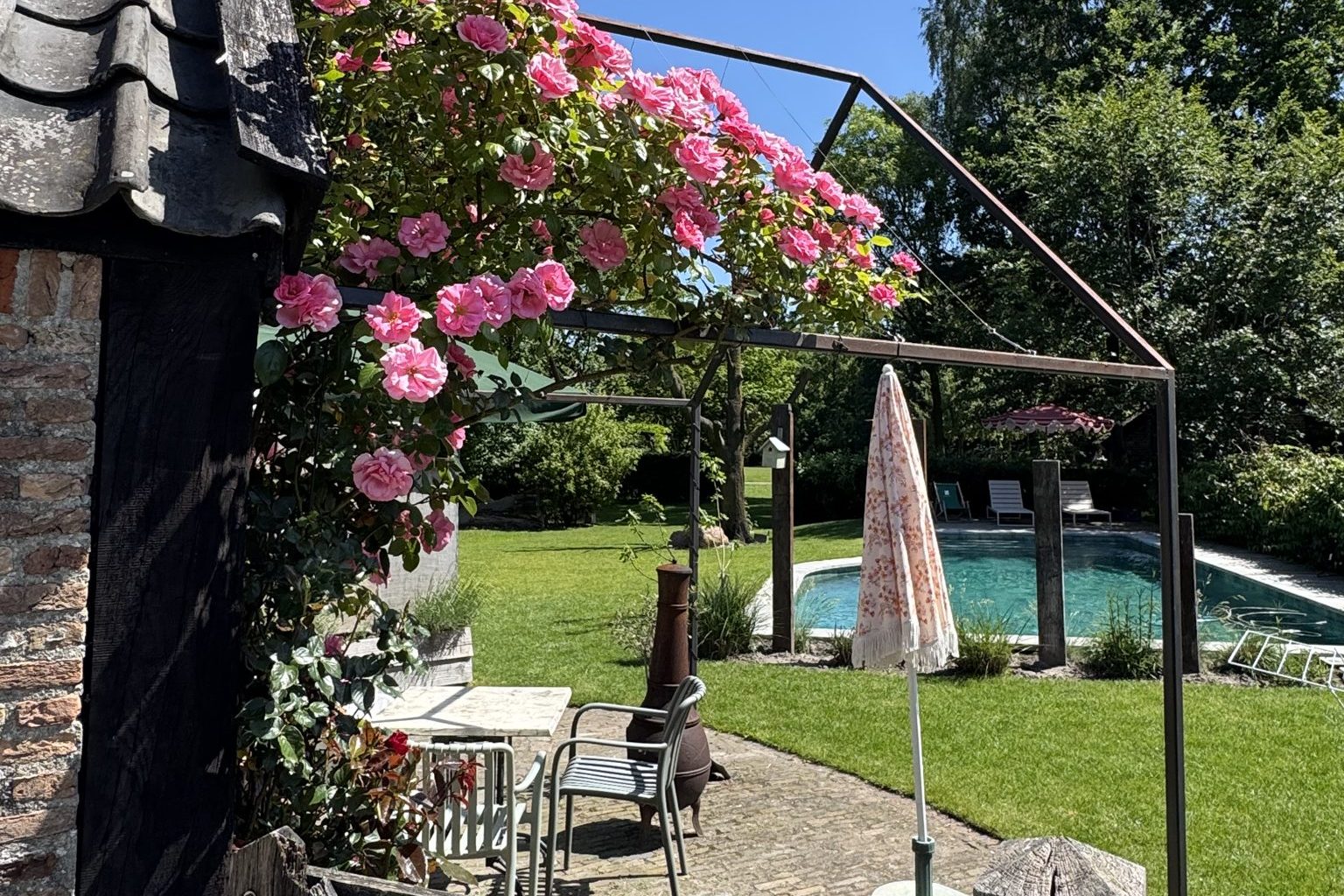 Pink climbing roses by the terrace of the Bakehouse with a view of the swimming pool